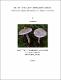 PearceV2023b-1a.pdf.jpg