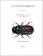 LevesqueK2021b-1a.pdf.jpg