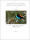 SitarR2019b-1b.pdf.jpg